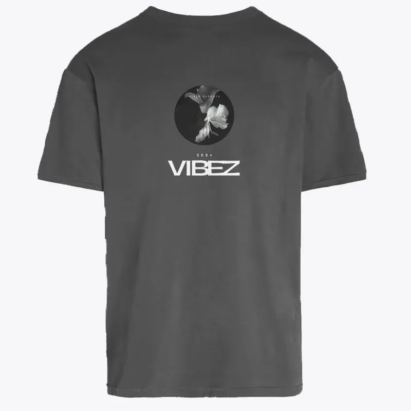 VIBEZ ESPORTS 2024 set